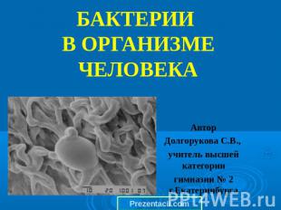 Бактерии в организме человека Автор Долгорукова С.В., учитель высшей категории г