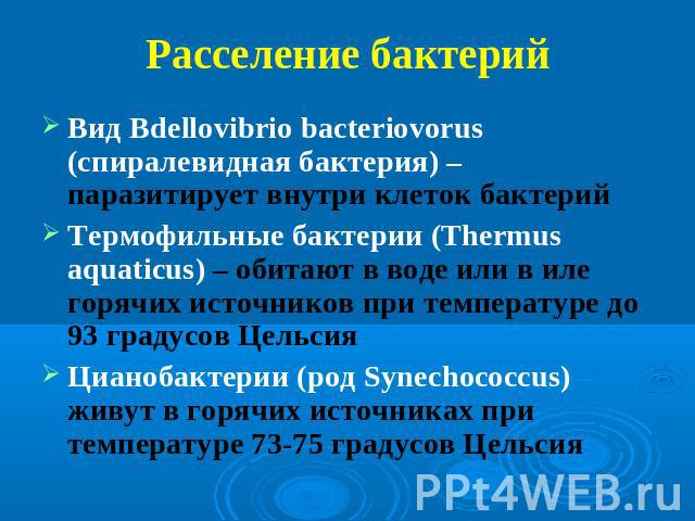 Расселение бактерий Вид Bdellovibrio bacteriovorus (спиралевидная бактерия) – паразитирует внутри клеток бактерий Термофильные бактерии (Thermus aquaticus) – обитают в воде или в иле горячих источников при температуре до 93 градусов Цельсия Цианобак…