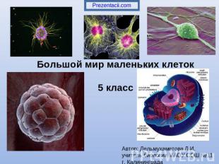 Большой мир маленьких клеток 5 класс Автор: Дельмухаметова Л.И. учитель биологии