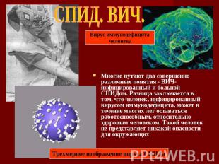 СПИД. ВИЧ. Вирус иммунодефицита человека Трехмерное изображение вируса СПИДа Мно