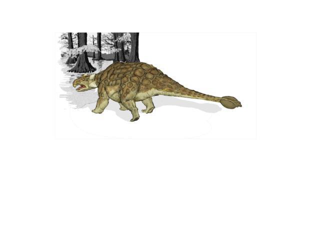 Анкилозавр Анкилозавры (лат. Ankylosauria — «согнутый ящер») — инфраотряд наземных панцирных динозавров отряда птицетазовых. Известно 2 семейства, более 25 родов и около 30 видов. Передвигались на четырёх конечностях, питались растениями. Тело анкил…