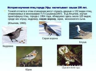 История изучения птиц города Уфы насчитывает свыше 100 лет. Точкой отсчета в это