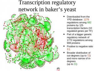 Transcription regulatory network in baker’s yeast Downloaded from the YPD databa