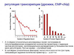 регуляция транскрипции (дрожжи, ChIP-chip) A: in-degree (относительно регулируем