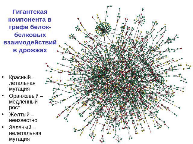 Гигантская компонента в графе белок-белковых взаимодействий в дрожжах Красный – летальная мутация Оранжевый – медленный рост Желтый – неизвестно Зеленый – нелетальная мутация