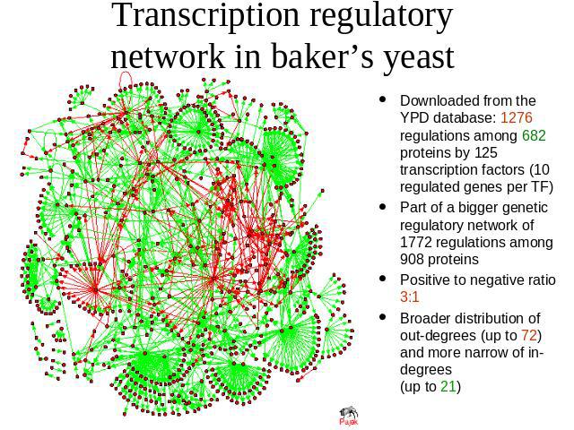 Transcription regulatory network in baker’s yeast Downloaded from the YPD database: 1276 regulations among 682 proteins by 125 transcription factors (10 regulated genes per TF) Part of a bigger genetic regulatory network of 1772 regulations among 90…