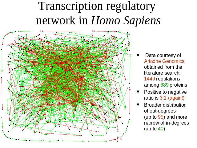 Transcription regulatory network in Homo Sapiens Data courtesy of Ariadne Genomics obtained from the literature search: 1449 regulations among 689 proteins Positive to negative ratio is 3:1 (again!) Broader distribution of out-degrees (up to 95) and…