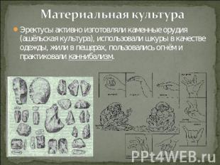 Материальная культура Эректусы активно изготовляли каменные орудия (ашёльская ку