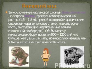 Внешний вид За исключением карликовой формы (Homo floresiensis) с острова Флорес