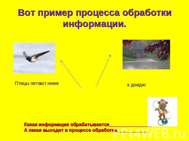 Вот пример процесса обработки информации. Птицы летают ниже к дождю Какая информация обрабатывается________________ А какая выходит в процессе обработки____________