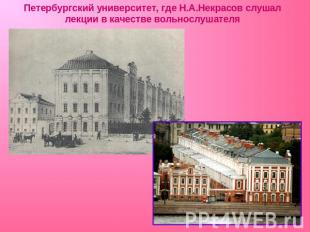 Петербургский университет, где Н.А.Некрасов слушал лекции в качестве вольнослуша