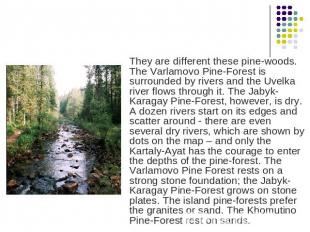 They are different these pine-woods. The Varlamovo Pine-Forest is surrounded by