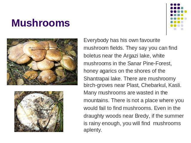 Mushrooms Everybody has his own favourite mushroom fields. They say you can find boletus near the Argazi lake, white mushrooms in the Sanar Pine-Forest, honey agarics on the shores of the Shantrapai lake. There are mushroomy birch-groves near Plast,…