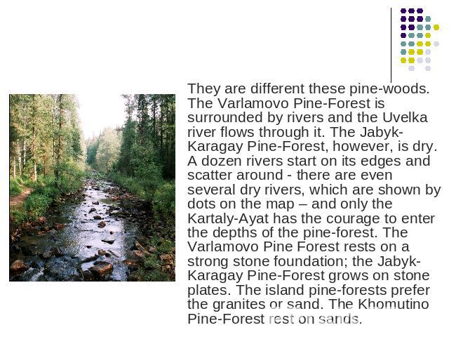 They are different these pine-woods. The Varlamovo Pine-Forest is surrounded by rivers and the Uvelka river flows through it. The Jabyk-Karagay Pine-Forest, however, is dry. A dozen rivers start on its edges and scatter around - there are even sever…