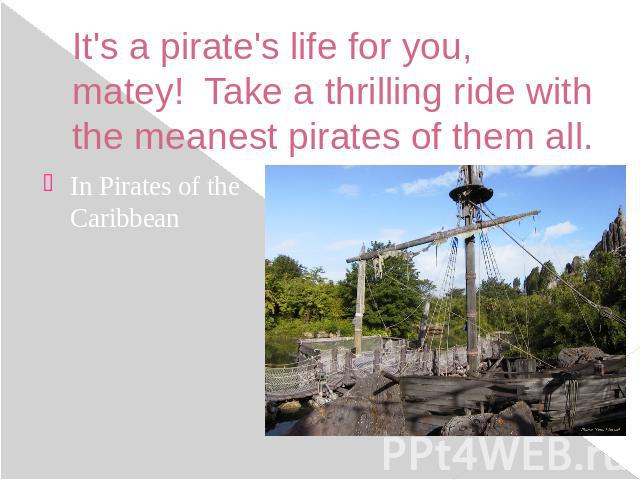 It's a pirate's life for you, matey!  Take a thrilling ride with the meanest pirates of them all. In Pirates of the Caribbean