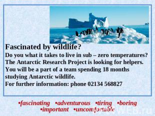 Fascinated by wildlife?Do you what it takes to live in sub – zero temperatures?T