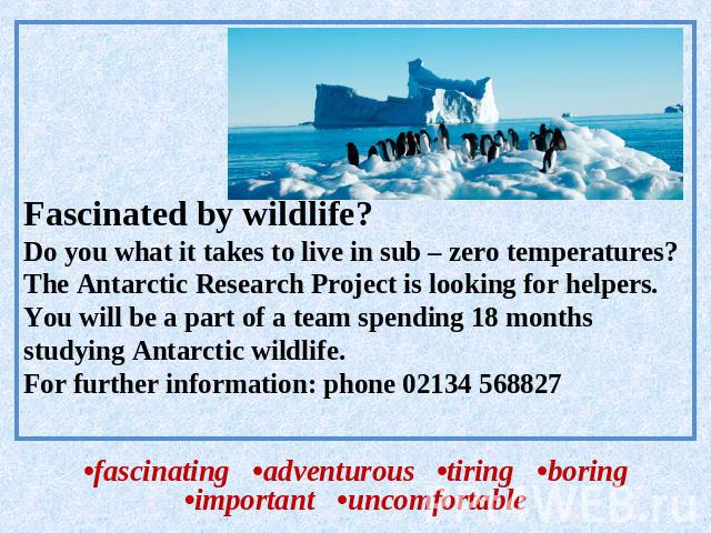 Fascinated by wildlife?Do you what it takes to live in sub – zero temperatures?The Antarctic Research Project is looking for helpers.You will be a part of a team spending 18 months studying Antarctic wildlife.For further information: phone 02134 568…