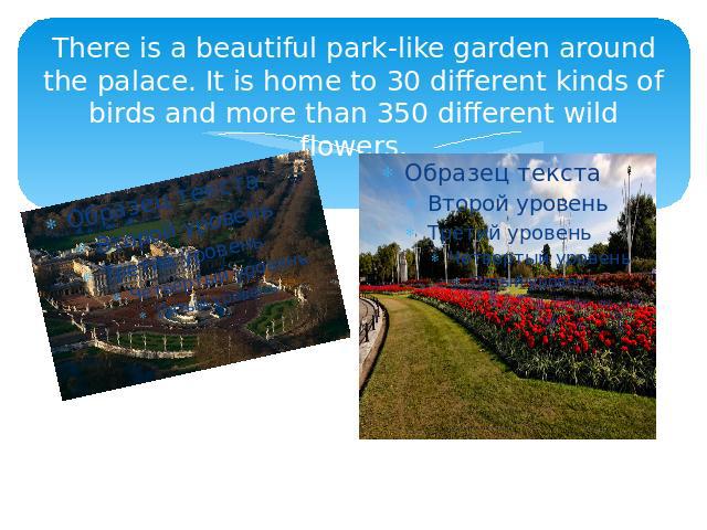 There is a beautiful park-like garden around the palace. It is home to 30 different kinds of birds and more than 350 different wild flowers.