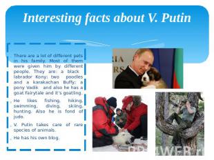 Interesting facts about V. Putin There are a lot of different pets in his family