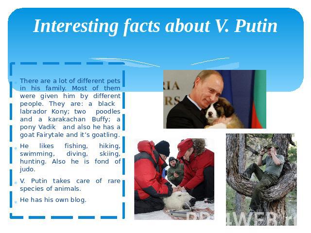 Interesting facts about V. Putin There are a lot of different pets in his family. Most of them were given him by different people. They are: a black labrador Kony; two poodles and a karakachan Buffy; a pony Vadik and also he has a goat Fairytale and…