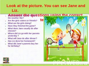 Look at the picture. You can see Jane and Liz. Answer the questions using the co