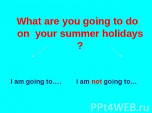 What are you going to do on your summer holidays ? I am going to…. I am not goin