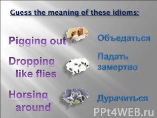Guess the meaning of these idioms: Pigging out Dropping like flies Horsing aroun