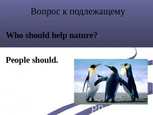Вопрос к подлежащему Who should help nature? People should.