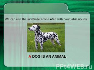 We can use the indefinite article a/an with countable nouns: A dog is an animal.