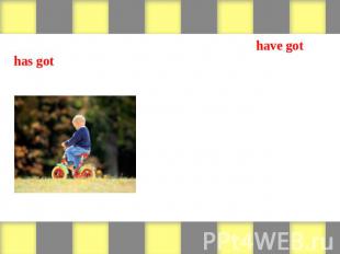 Look at the pictures and write sentences with have got or has got. Then write ne