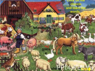 Click on the objects and learn the words stable cock hay hen farmer pig cat goat