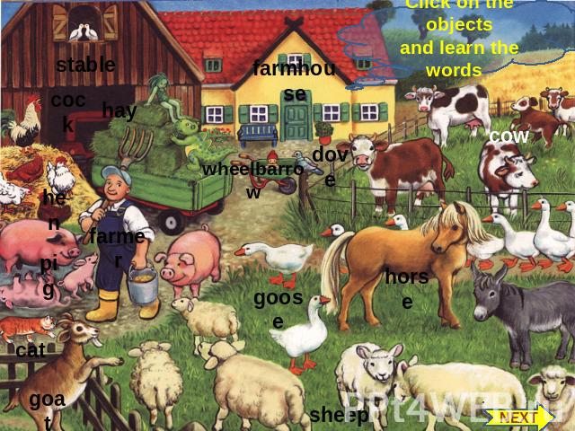 Click on the objects and learn the words stable cock hay hen farmer pig cat goat farmhouse dove wheelbarrow goose sheep cow horse NEXT