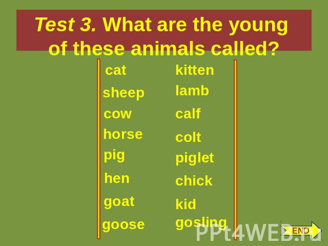 Test 3. What are the young of these animals called? cat sheep cow horse pig hen goat goose kitten lamb calf colt piglet chick kid END