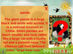 pandaThe giant panda is a large black and white wild animal. It is a national tr