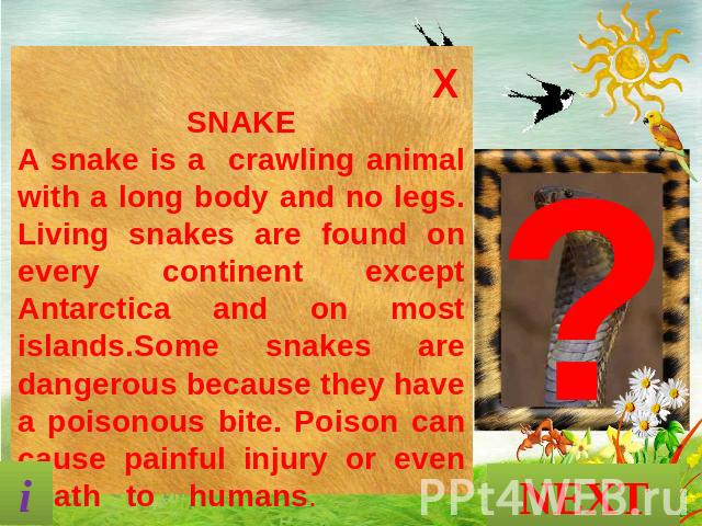 SNAKE A snake is a crawling animal with a long body and no legs. Living snakes are found on every continent except Antarctica and on most islands.Some snakes are dangerous because they have a poisonous bite. Poison can cause painful injury or even d…