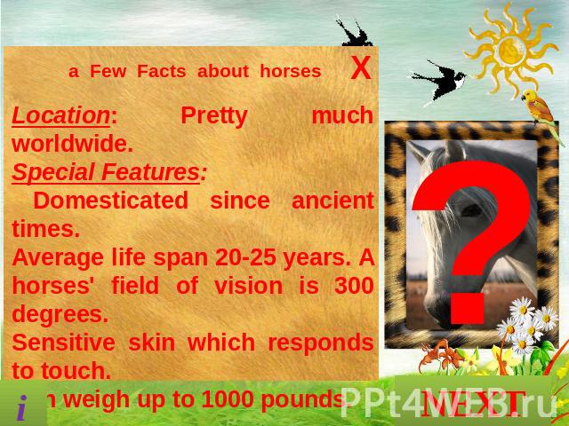 a Few Facts about horses Location: Pretty much worldwide. Special Features: Domesticated since ancient times. Average life span 20-25 years. A horses' field of vision is 300 degrees. Sensitive skin which responds to touch. Can weigh up to 1000 pound…