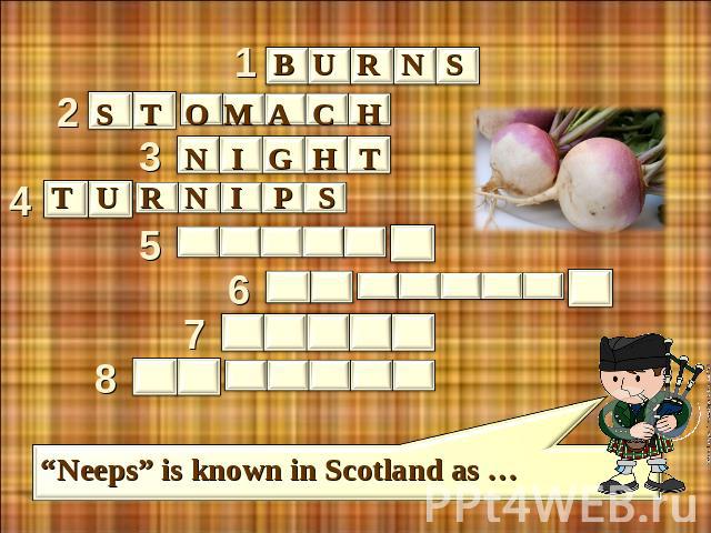 burns stomacn night turnips “Neeps” is known in Scotland as …