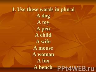 1. Use these words in plural a dog a toy a pen a child a wife a mouse a woman a