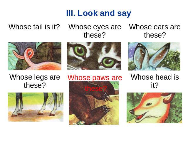 III. Look and say Whose tail is it? Whose eyes are these? Whose ears are these? Whose legs are these? Whose paws are theseWhose head is it?