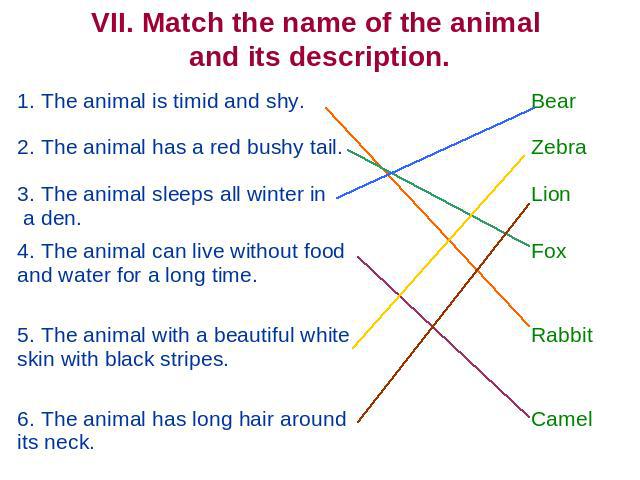 VII. Match the name of the animal and its description. 1. The animal is timid and shy. 2. The animal has a red bushy tail3. The animal sleeps all winter in a den. 4. The animal can live without food and water for a long time. 5. The animal with a be…
