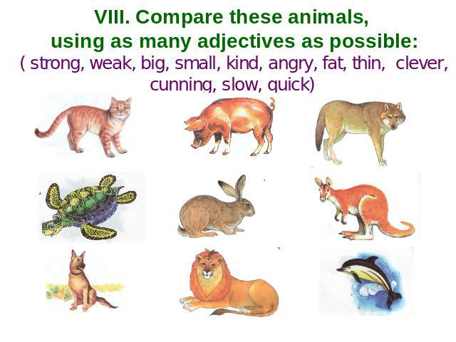 VIII. Compare these animals, using as many adjectives as possible: ( strong, weak, big, small, kind, angry, fat, thin, clever, cunning, slow, quick)