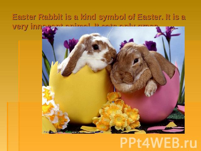 Easter Rabbit is a kind symbol of Easter. It is a very innocent animal. It eats only grass.