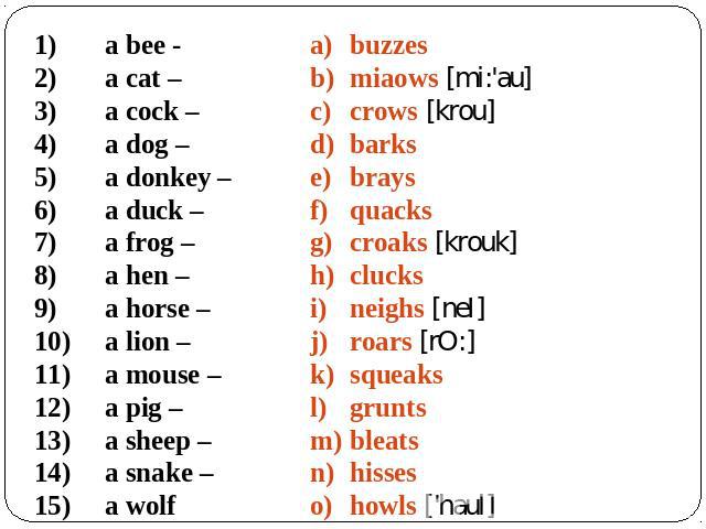 a bee - a cat – a cock – a dog – a donkey – a duck – a frog – a hen – a horse – a lion – a mouse – a pig – a sheep – a snake – a wolf buzzes miaows [mi:'au] crows [krou] barks brays quacks croaks [krouk] clucks neighs [neI] roars [rO:] squeaks grunt…