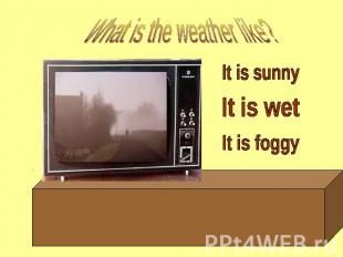 What is the weather like? It is sunny It is wet It is foggy