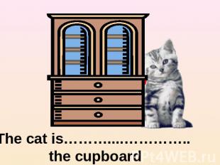 The cat is………....………….. the cupboard