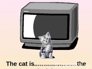 The cat is..………....….…the television