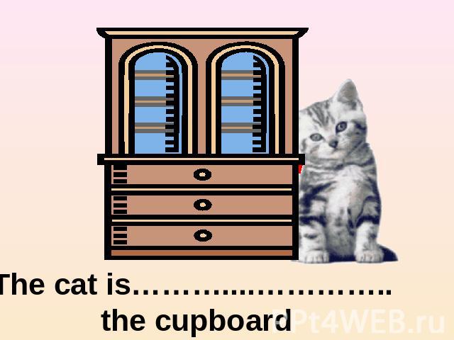 The cat is………....………….. the cupboard