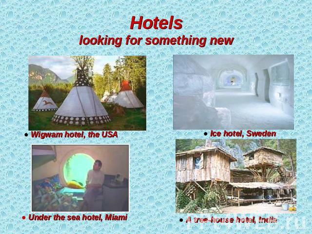 Hotelslooking for something new ● Wigwam hotel, the USA ● Under the sea hotel, Miami ● Ice hotel, Sweden ● A tree-house hotel, India