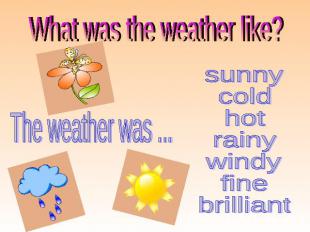 What was the weather like? sunny cold hot rainy windy fine brilliant The weather