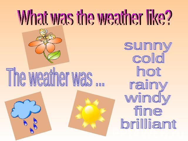 What was the weather like? sunny cold hot rainy windy fine brilliant The weather was ...